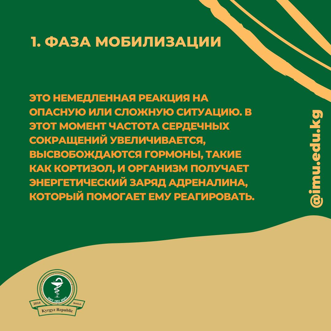 Blog Slider Image
